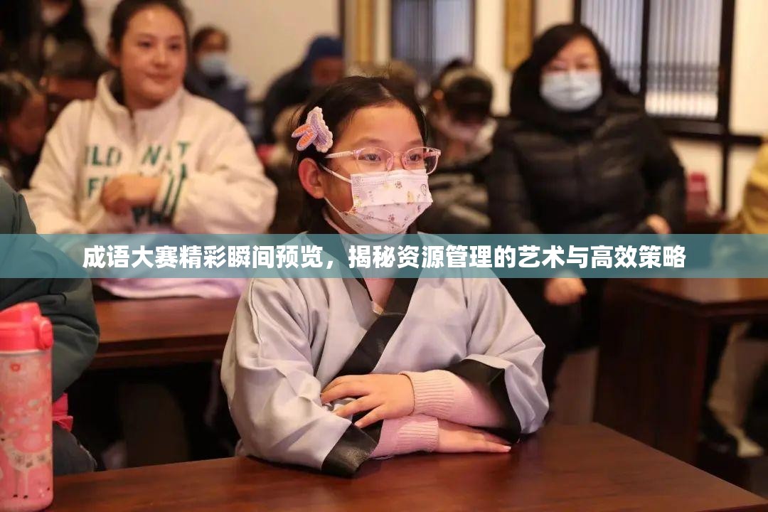 成語大賽精彩瞬間預覽，揭秘資源管理的藝術與高效策略