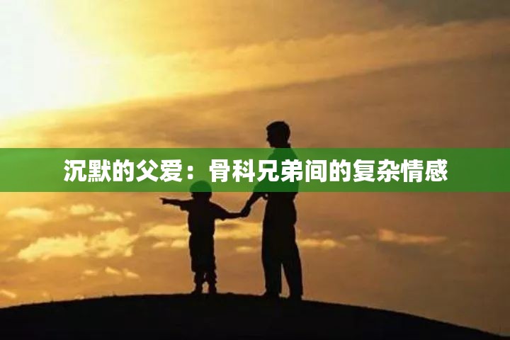 沉默的父愛：骨科兄弟間的復(fù)雜情感