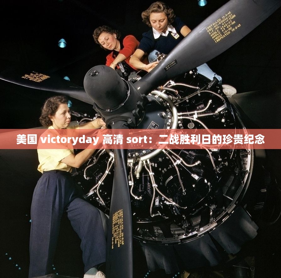 美國 victoryday 高清 sort：二戰(zhàn)勝利日的珍貴紀念