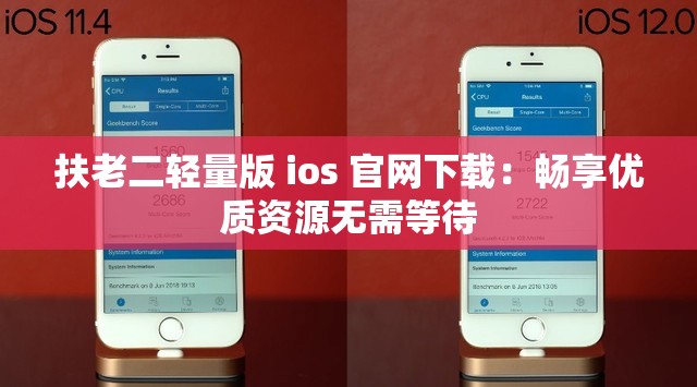 扶老二輕量版 ios 官網(wǎng)下載：暢享優(yōu)質(zhì)資源無(wú)需等待