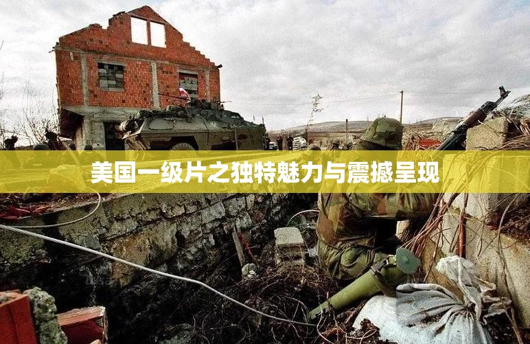 美國(guó)一級(jí)片之獨(dú)特魅力與震撼呈現(xiàn)