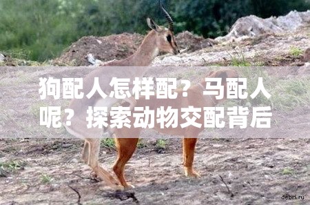 狗配人怎樣配？馬配人呢？探索動物交配背后的奧秘