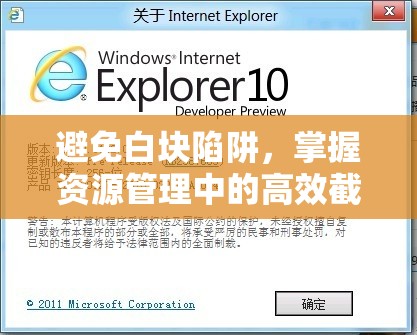 避免白塊陷阱，掌握資源管理中的高效截圖預(yù)覽技巧與藝術(shù)
