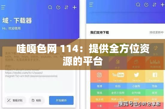 哇嘎色網(wǎng) 114：提供全方位資源的平臺(tái)
