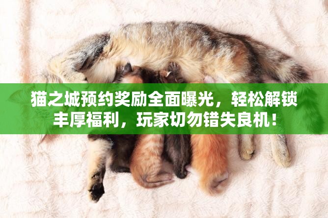 貓之城預(yù)約獎勵全面曝光，輕松解鎖豐厚福利，玩家切勿錯失良機！