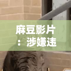 麻豆影片：涉嫌違法傳播的不良內容應堅決抵制