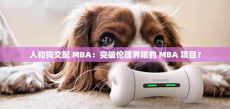 人和狗交配 MBA：突破倫理界限的 MBA 項目？