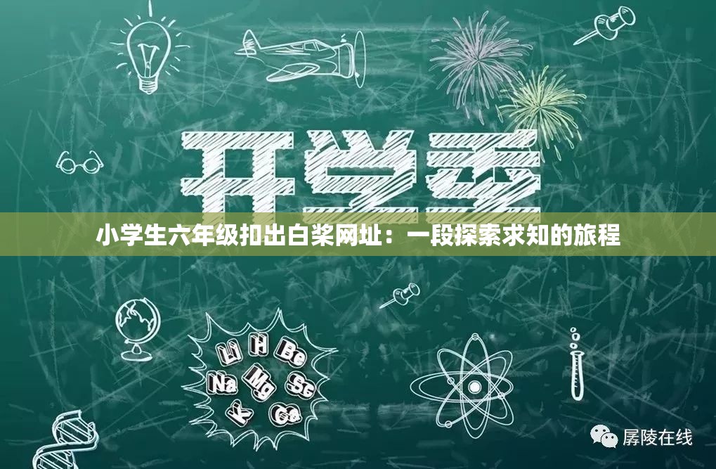 小學(xué)生六年級(jí)扣出白槳網(wǎng)址：一段探索求知的旅程