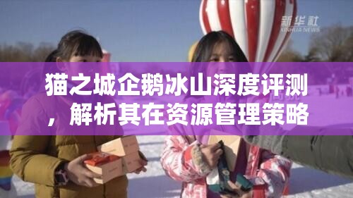貓之城企鵝冰山深度評(píng)測(cè)，解析其在資源管理策略中的關(guān)鍵價(jià)值與影響