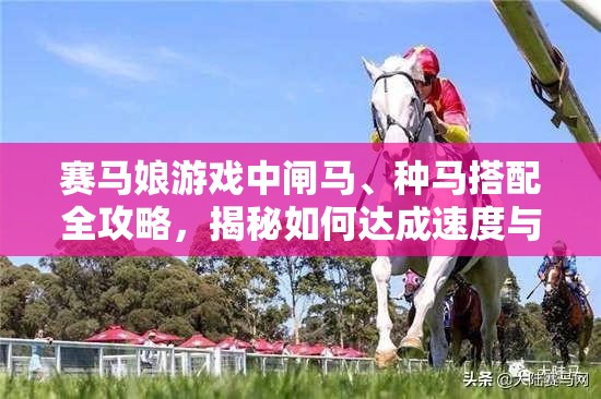 賽馬娘游戲中閘馬、種馬搭配全攻略，揭秘如何達(dá)成速度與耐力的極致平衡