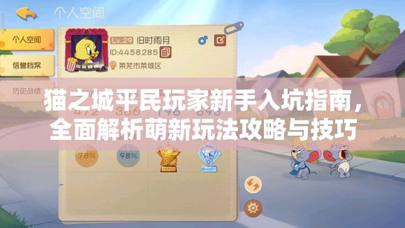 貓之城平民玩家新手入坑指南，全面解析萌新玩法攻略與技巧
