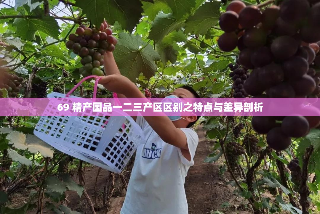 69 精產(chǎn)國品一二三產(chǎn)區(qū)區(qū)別之特點與差異剖析