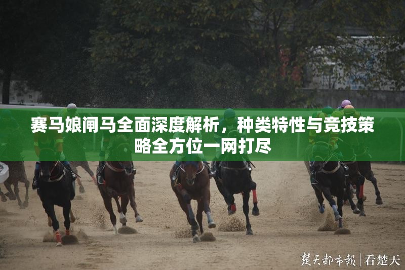 賽馬娘閘馬全面深度解析，種類特性與競技策略全方位一網(wǎng)打盡