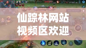 仙蹤林網(wǎng)站視頻區(qū)歡迎您：在這里，發(fā)現(xiàn)不一樣的精彩
