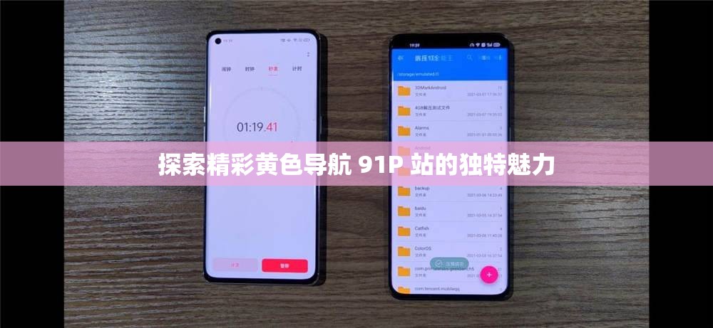 探索精彩黃色導(dǎo)航 91P 站的獨(dú)特魅力