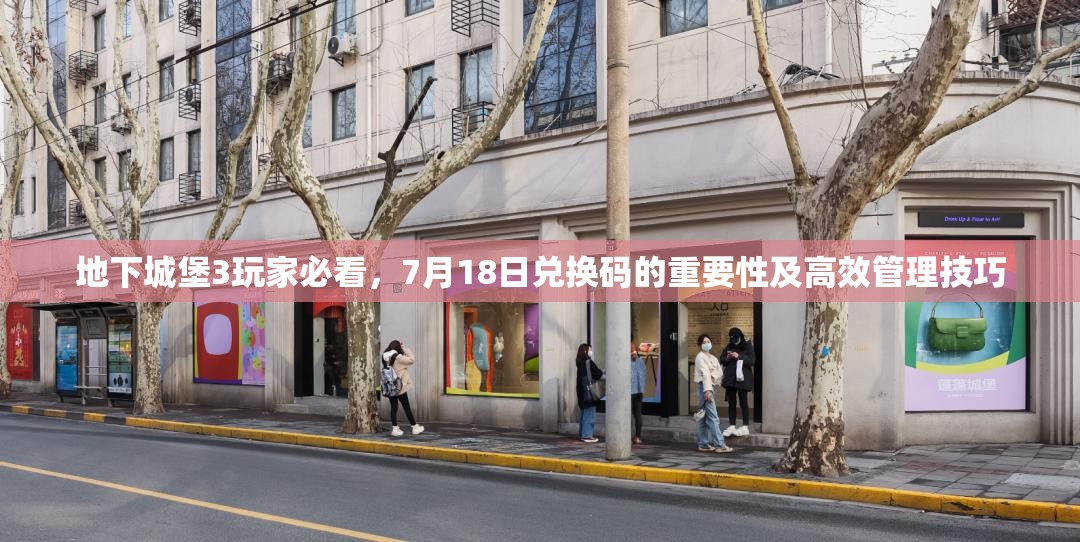 地下城堡3玩家必看，7月18日兌換碼的重要性及高效管理技巧