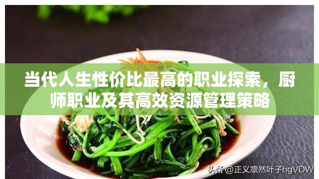 當(dāng)代人生性價(jià)比最高的職業(yè)探索，廚師職業(yè)及其高效資源管理策略