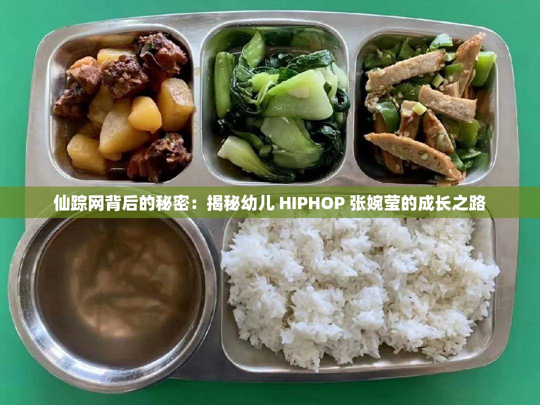 仙蹤網(wǎng)背后的秘密：揭秘幼兒 HIPHOP 張婉瑩的成長(zhǎng)之路