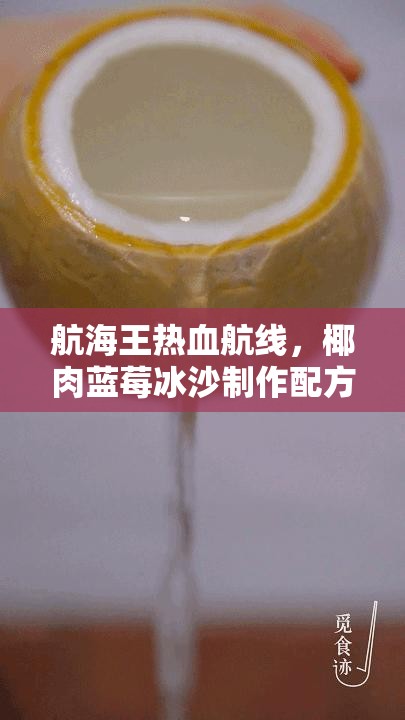 航海王熱血航線，椰肉藍(lán)莓冰沙制作配方揭秘及其在資源管理中的關(guān)鍵性分享