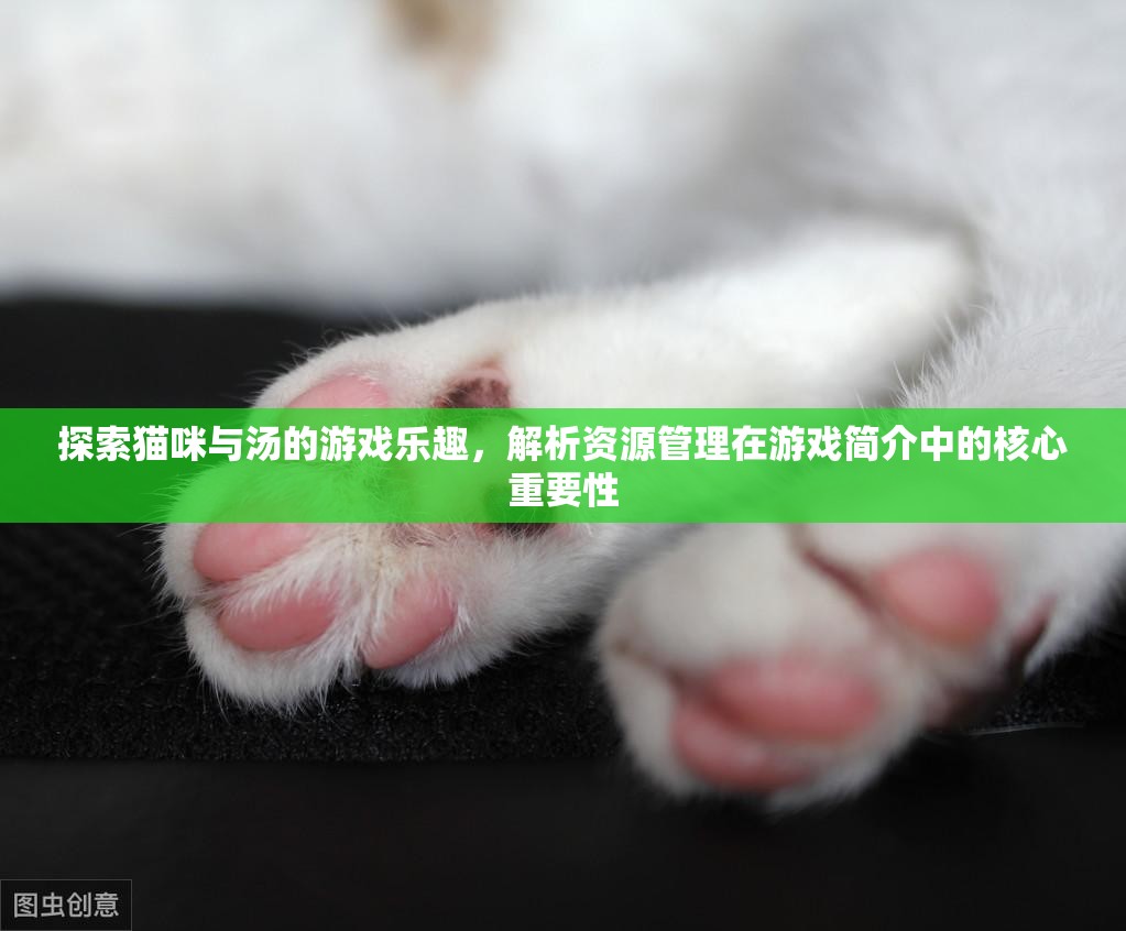 探索貓咪與湯的游戲樂趣，解析資源管理在游戲簡介中的核心重要性