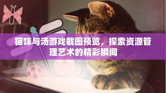 貓咪與湯游戲截圖預(yù)覽，探索資源管理藝術(shù)的精彩瞬間