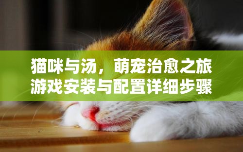 貓咪與湯，萌寵治愈之旅游戲安裝與配置詳細(xì)步驟全攻略
