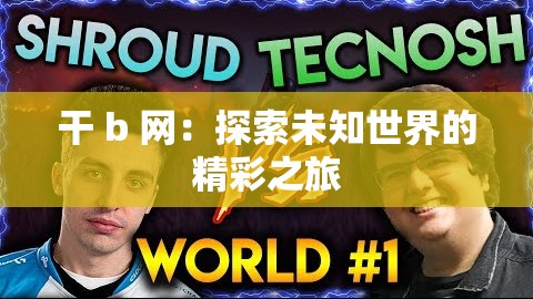 干 b 網(wǎng)：探索未知世界的精彩之旅