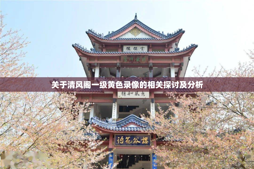 關于清風閣一級黃色錄像的相關探討及分析