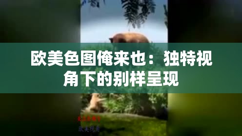 歐美色圖俺來也：獨(dú)特視角下的別樣呈現(xiàn)