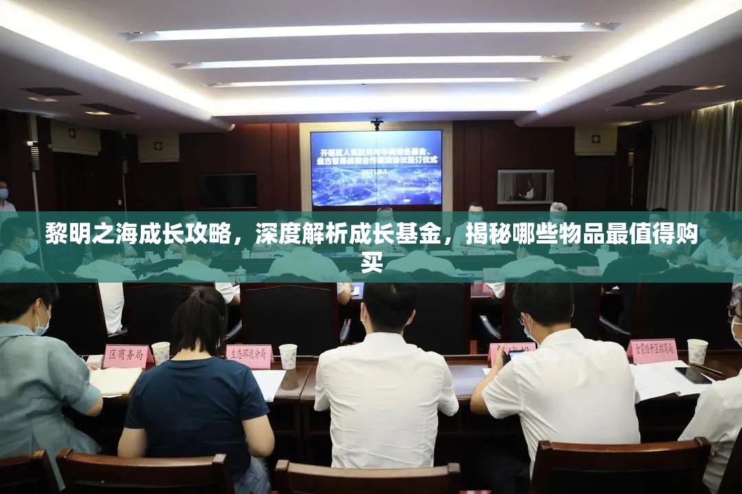 黎明之海成長攻略，深度解析成長基金，揭秘哪些物品最值得購買