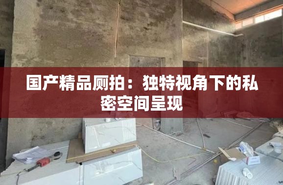 國產(chǎn)精品廁拍：獨(dú)特視角下的私密空間呈現(xiàn)