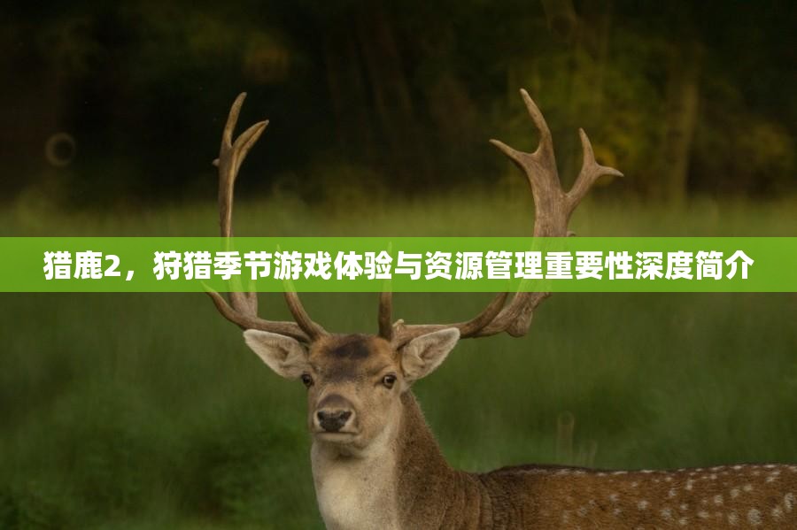 獵鹿2，狩獵季節(jié)游戲體驗(yàn)與資源管理重要性深度簡(jiǎn)介
