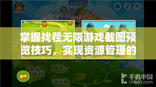 掌握找茬無(wú)限游戲截圖預(yù)覽技巧，實(shí)現(xiàn)資源管理的高效藝術(shù)與便捷