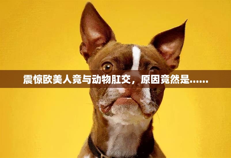 震驚歐美人竟與動(dòng)物肛交，原因竟然是......
