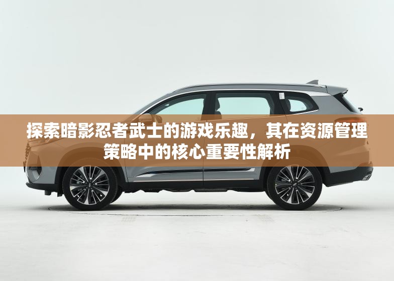 探索暗影忍者武士的游戲樂趣，其在資源管理策略中的核心重要性解析
