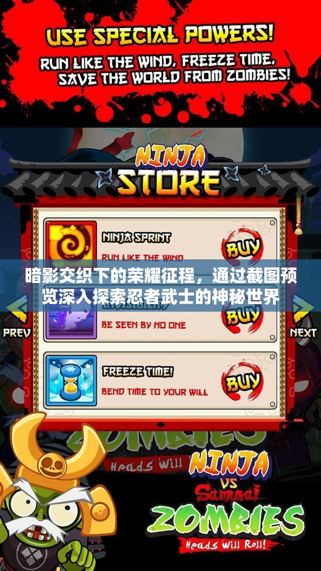 暗影交織下的榮耀征程，通過(guò)截圖預(yù)覽深入探索忍者武士的神秘世界