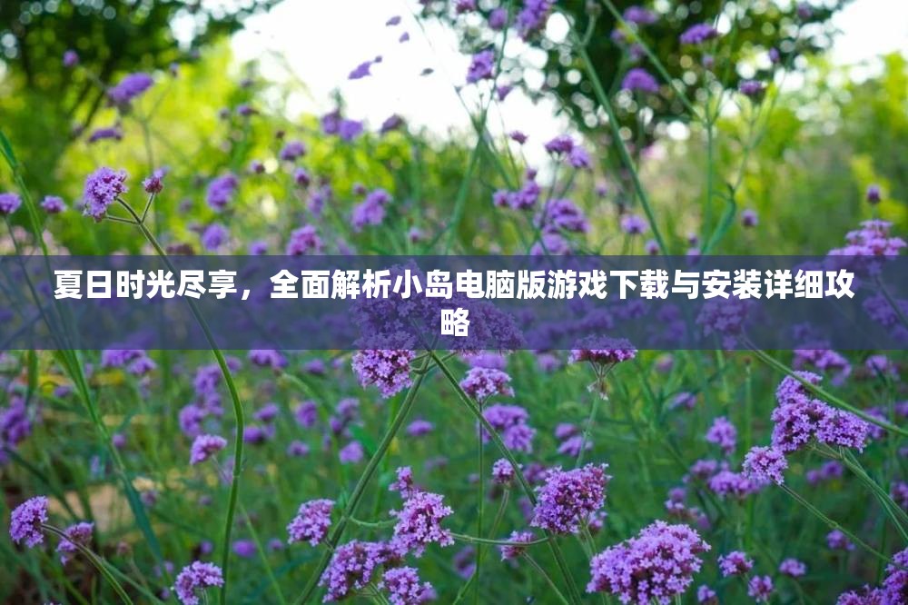 夏日時光盡享，全面解析小島電腦版游戲下載與安裝詳細(xì)攻略