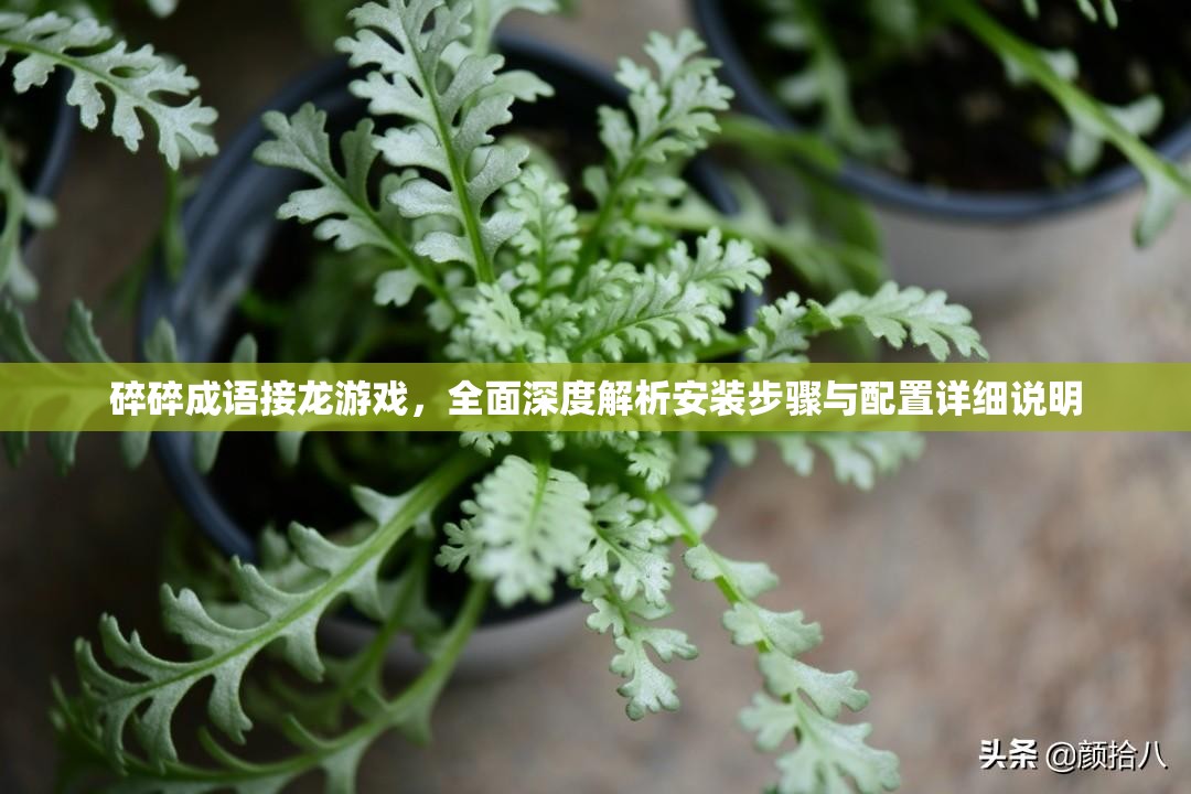 碎碎成語接龍游戲，全面深度解析安裝步驟與配置詳細(xì)說明
