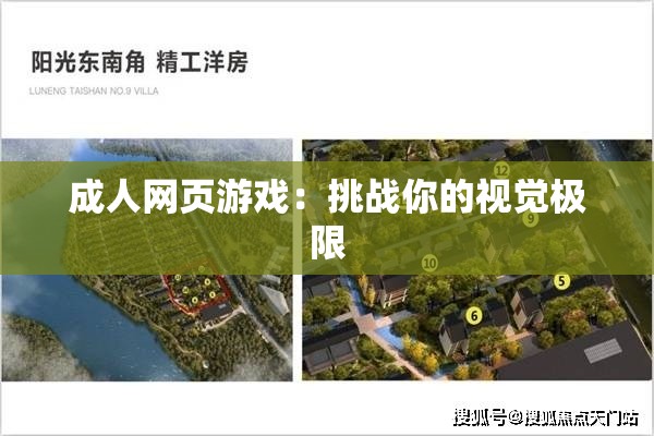 成人網頁游戲：挑戰(zhàn)你的視覺極限