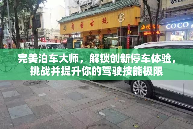 完美泊車大師，解鎖創(chuàng)新停車體驗(yàn)，挑戰(zhàn)并提升你的駕駛技能極限