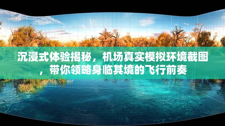 沉浸式體驗揭秘，機(jī)場真實模擬環(huán)境截圖，帶你領(lǐng)略身臨其境的飛行前奏