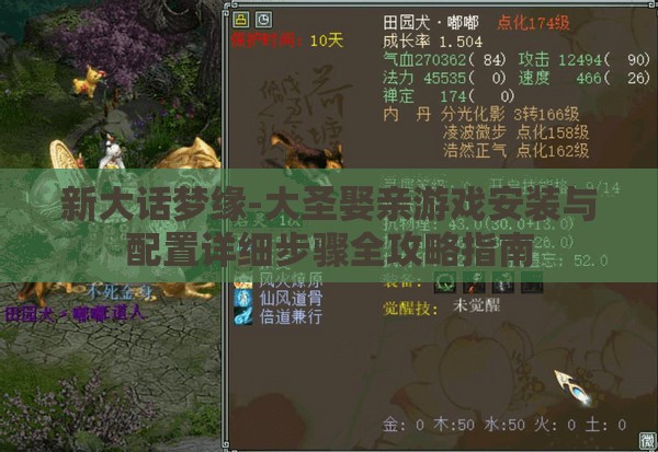 新大話夢緣-大圣娶親游戲安裝與配置詳細(xì)步驟全攻略指南