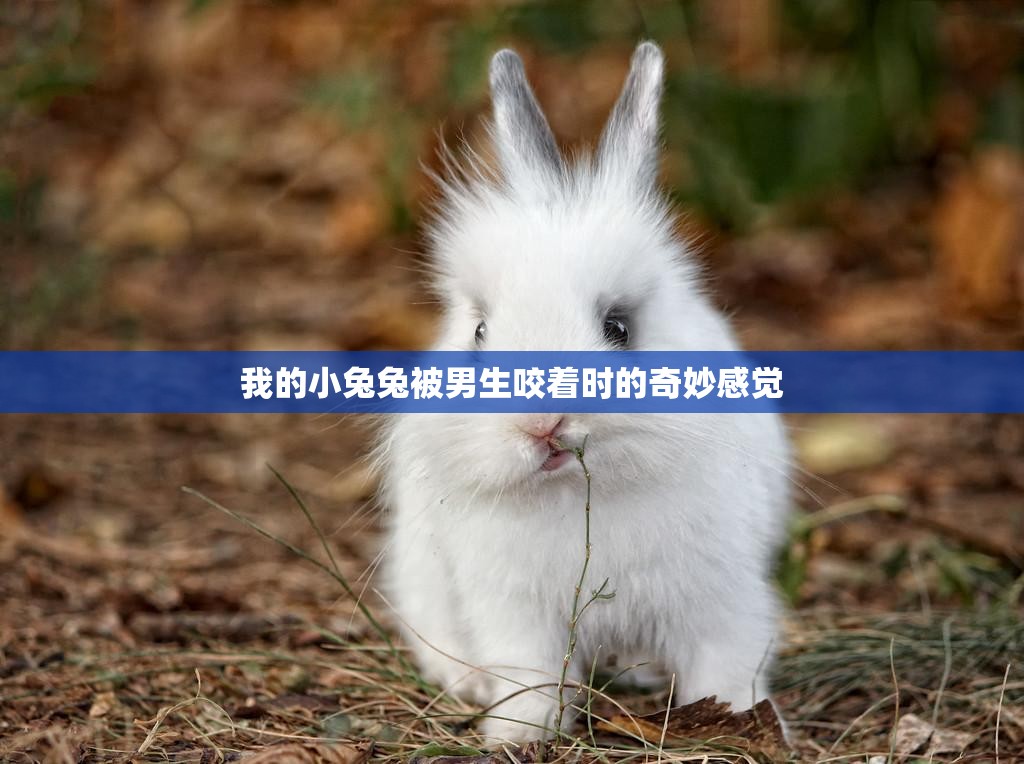 我的小兔兔被男生咬著時的奇妙感覺