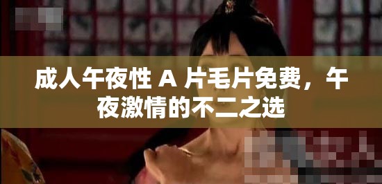 成人午夜性 A 片毛片免費(fèi)，午夜激情的不二之選