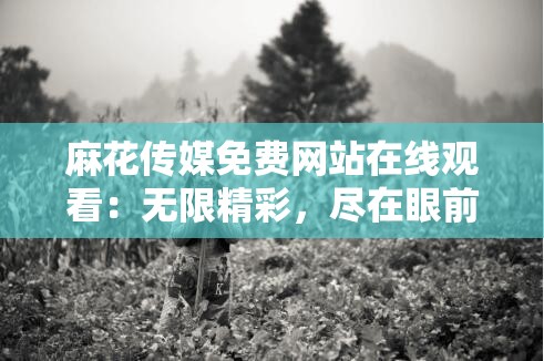 麻花傳媒免費(fèi)網(wǎng)站在線觀看：無限精彩，盡在眼前