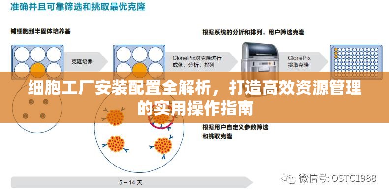 細(xì)胞工廠安裝配置全解析，打造高效資源管理的實(shí)用操作指南