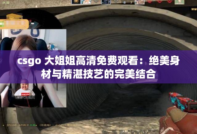 csgo 大姐姐高清免費觀看：絕美身材與精湛技藝的完美結(jié)合
