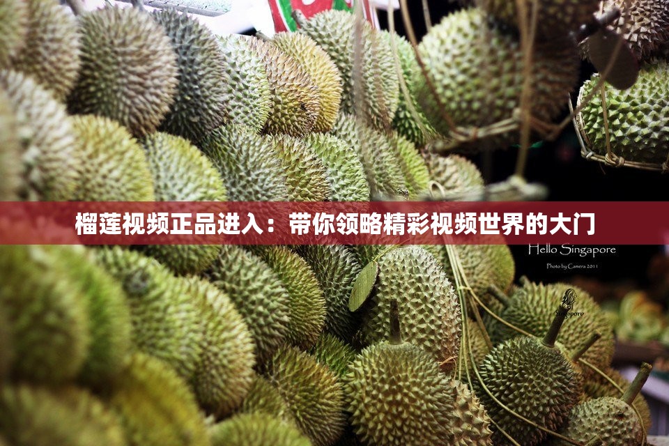榴蓮視頻正品進入：帶你領(lǐng)略精彩視頻世界的大門