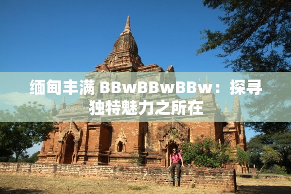 緬甸豐滿 BBwBBwBBw：探尋獨特魅力之所在
