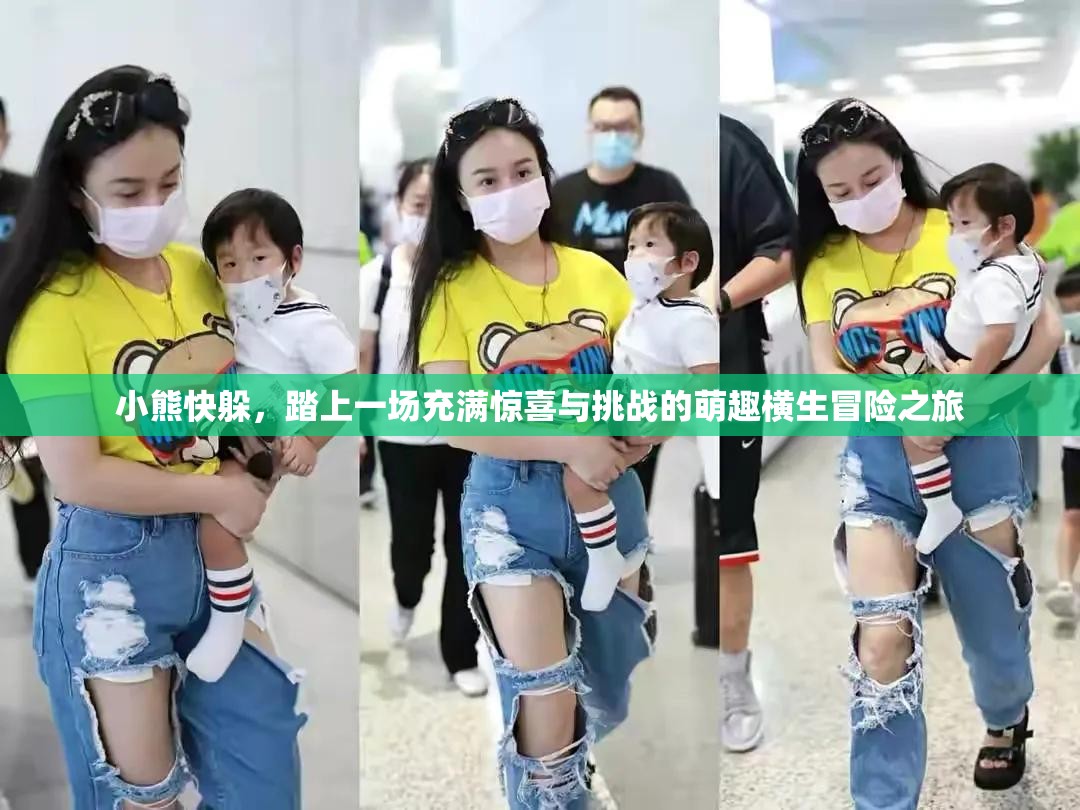 小熊快躲，踏上一場充滿驚喜與挑戰(zhàn)的萌趣橫生冒險之旅